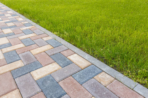 Best Driveway Paving Contractor  in Oakes, ND